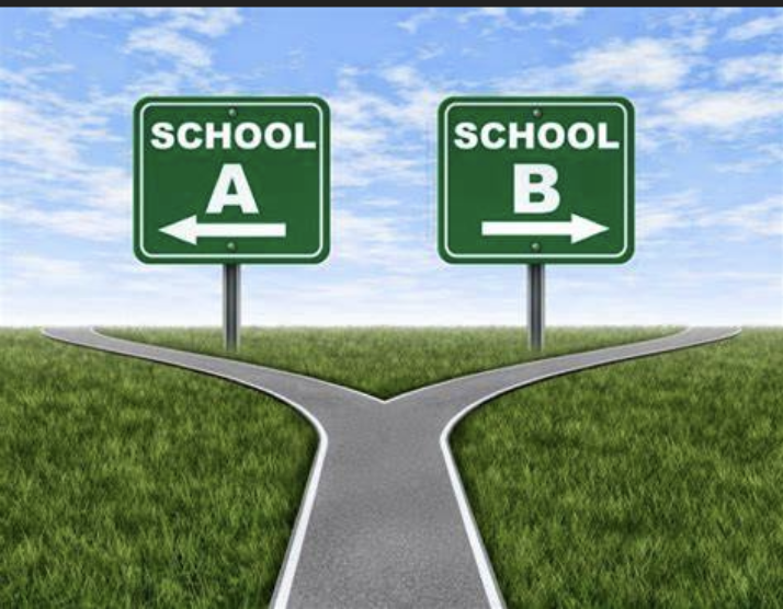 You are currently viewing Choosing Your School